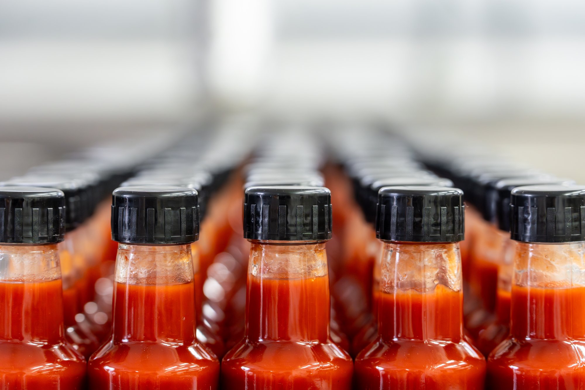 Many bottles of hot sauce waiting on conveyor belt in food processing plant